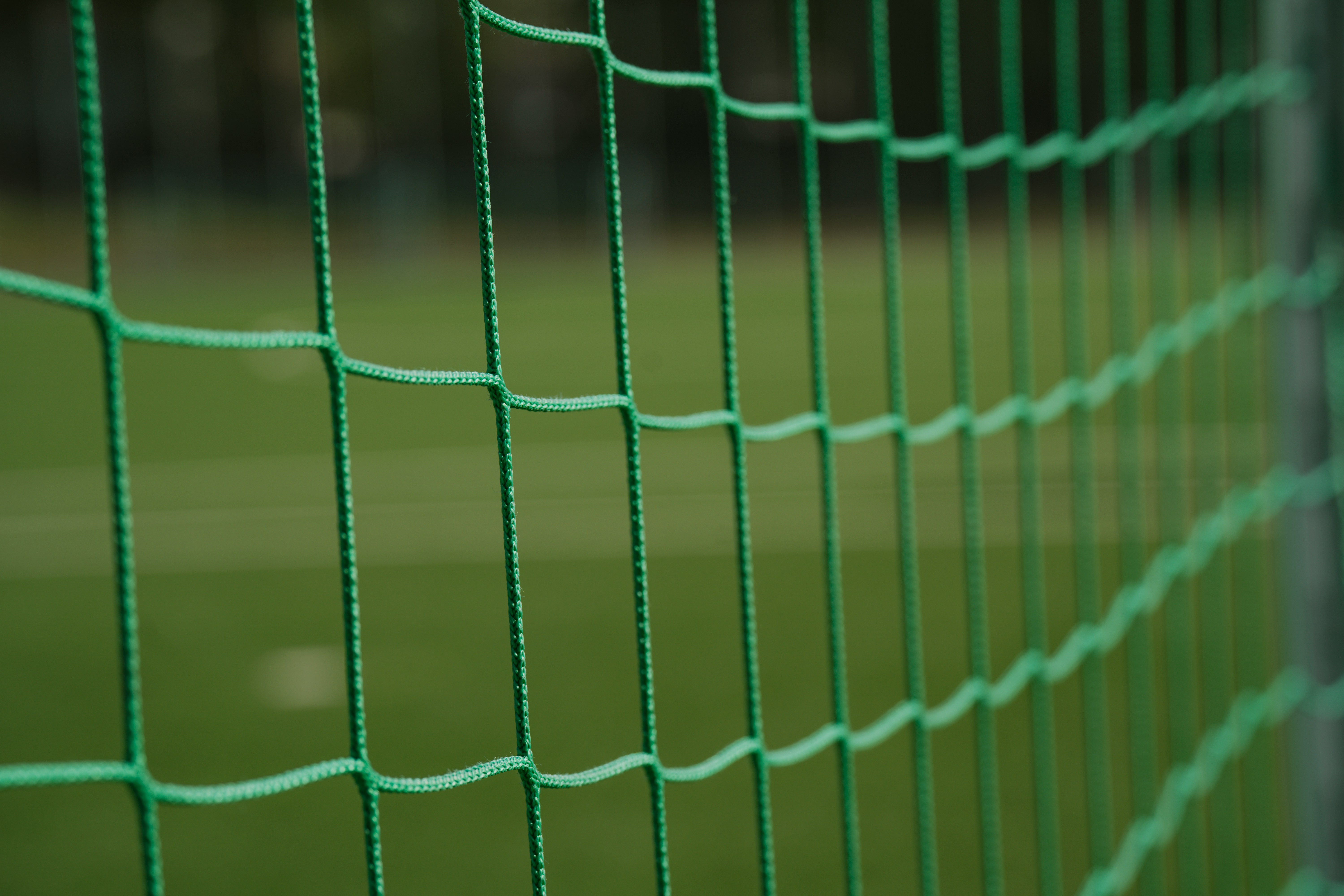 Fifa IVR Case Study